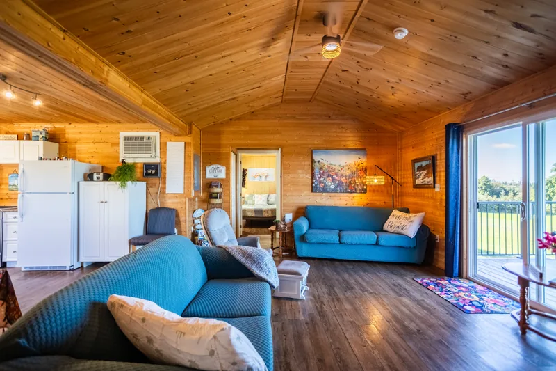 Living room with blue seating