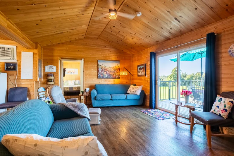 Living room and deck doors