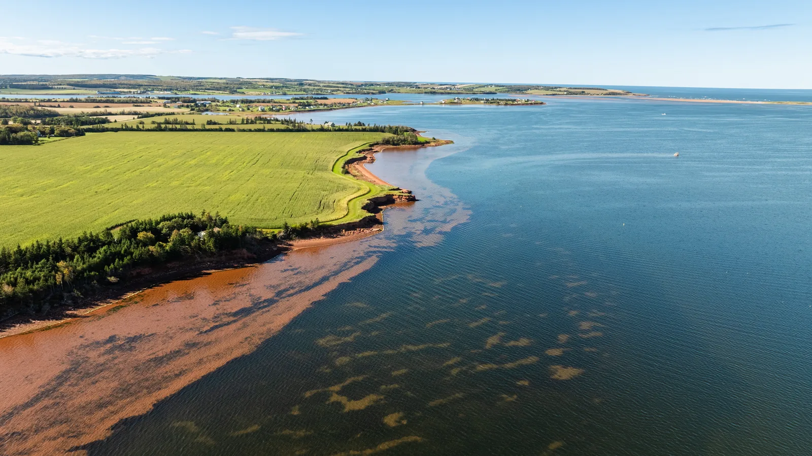 Coastline aerial