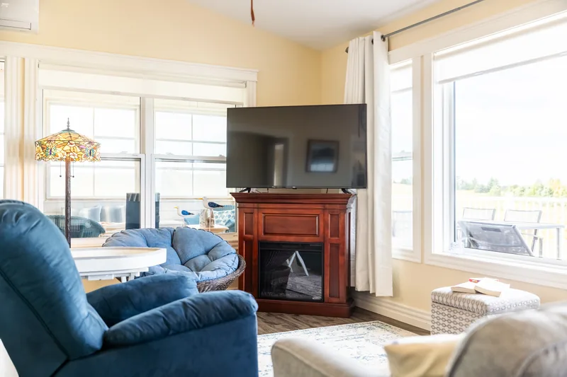 Living room with fireplace